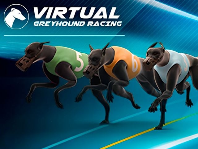 Greyhound Racing