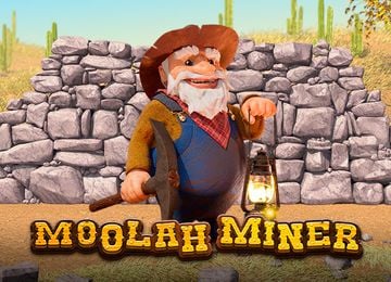Moolah Miner