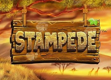 Stampede